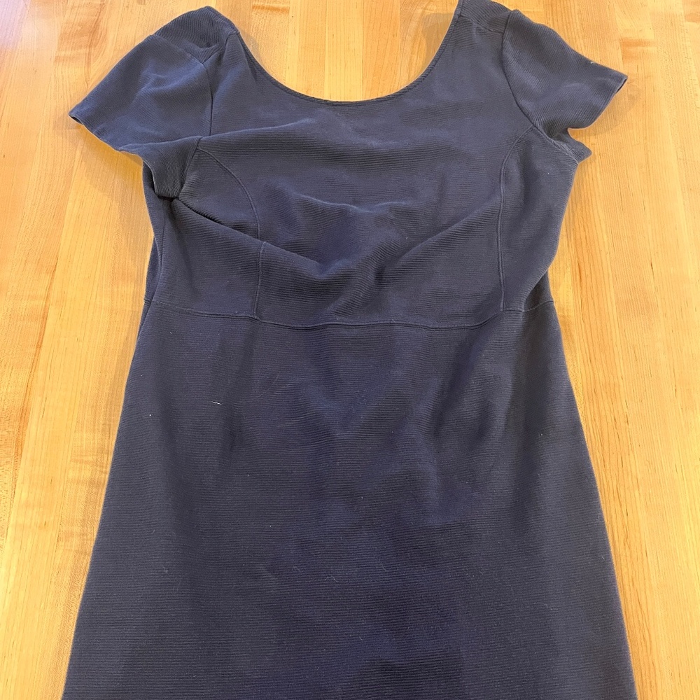 Banana Republic Blue Knit Dress